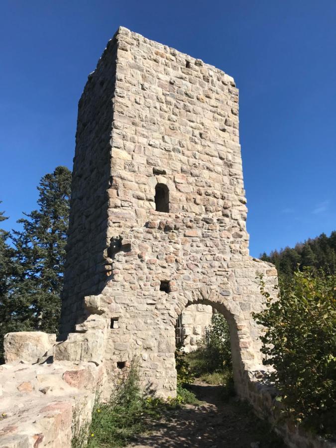 Landgasthof Alpenblick An Der Wutachschlucht Suedschwarzwald 로핀겐 외부 사진