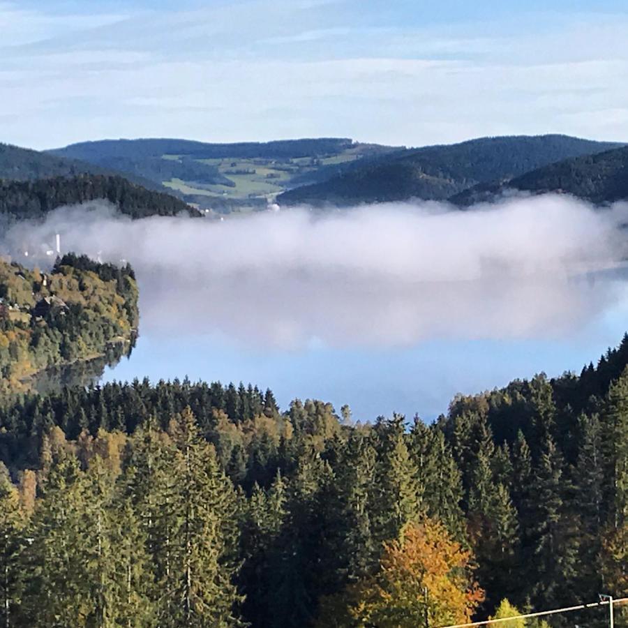 Landgasthof Alpenblick An Der Wutachschlucht Suedschwarzwald 로핀겐 외부 사진